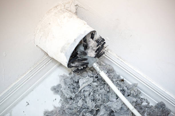 Air Duct Mold Removal in Bowling Green, MO